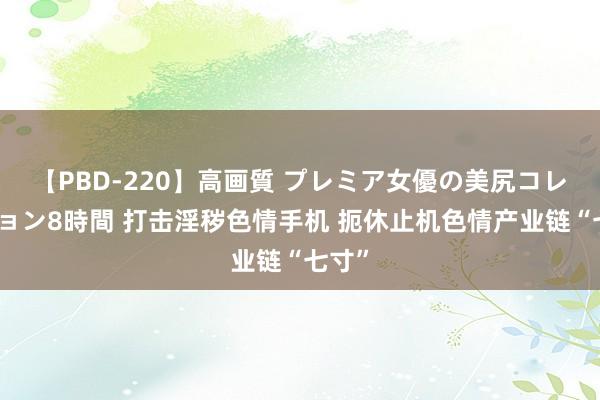 【PBD-220】高画質 プレミア女優の美尻コレクション8時間 打击淫秽色情手机 扼休止机色情产业链“七寸”