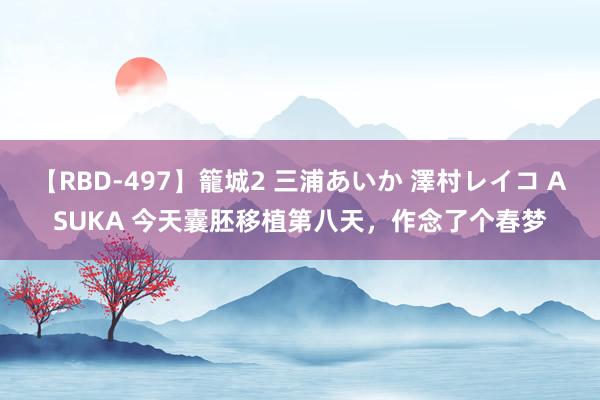 【RBD-497】籠城2 三浦あいか 澤村レイコ ASUKA 今天囊胚移植第八天，作念了个春梦