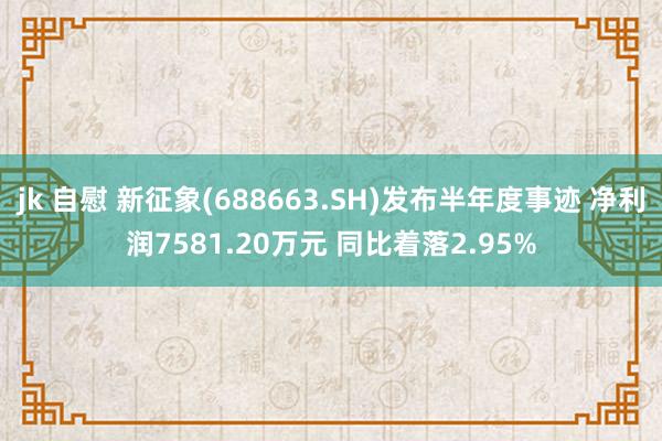 jk 自慰 新征象(688663.SH)发布半年度事迹 净利润7581.20万元 同比着落2.95%