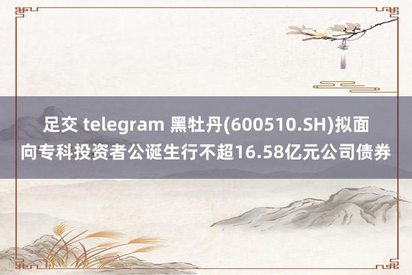 足交 telegram 黑牡丹(600510.SH)拟面向专科投资者公诞生行不超16.58亿元公司债券