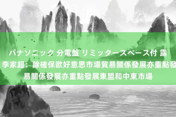 パナソニック 分電盤 リミッタースペース付 露出・半埋込両用形 李家超：除確保歐好意思市場貿易關係發展　亦重點發展東盟和中東市場