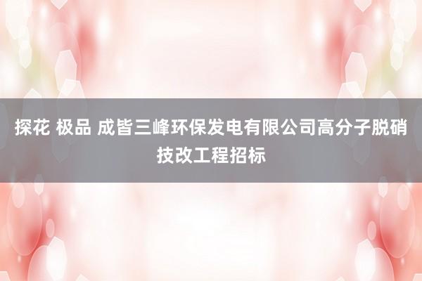 探花 极品 成皆三峰环保发电有限公司高分子脱硝技改工程招标