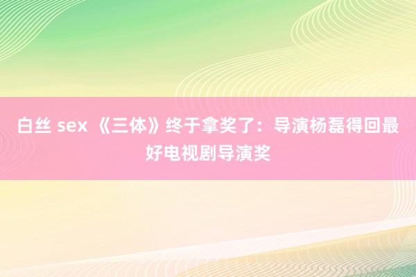 白丝 sex 《三体》终于拿奖了：导演杨磊得回最好电视剧导演奖