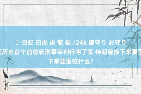 ✨白蛇 白虎 虎 龍 福 /24k 御守り お守り 好意思国历史首个前总统刑事审判行将了案 特朗普接下来要面临什么？