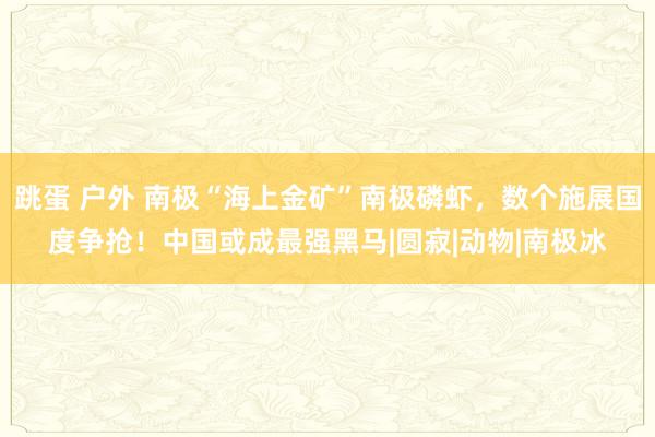 跳蛋 户外 南极“海上金矿”南极磷虾，数个施展国度争抢！中国或成最强黑马|圆寂|动物|南极冰