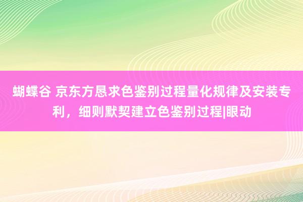 蝴蝶谷 京东方恳求色鉴别过程量化规律及安装专利，细则默契建立色鉴别过程|眼动