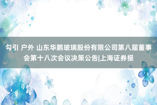 勾引 户外 山东华鹏玻璃股份有限公司第八届董事会第十八次会议决策公告|上海证券报