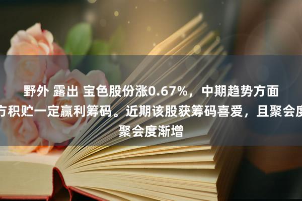 野外 露出 宝色股份涨0.67%，中期趋势方面，下方积贮一定赢利筹码。近期该股获筹码喜爱，且聚会度渐增