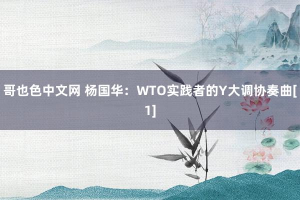 哥也色中文网 杨国华：WTO实践者的Y大调协奏曲[1]